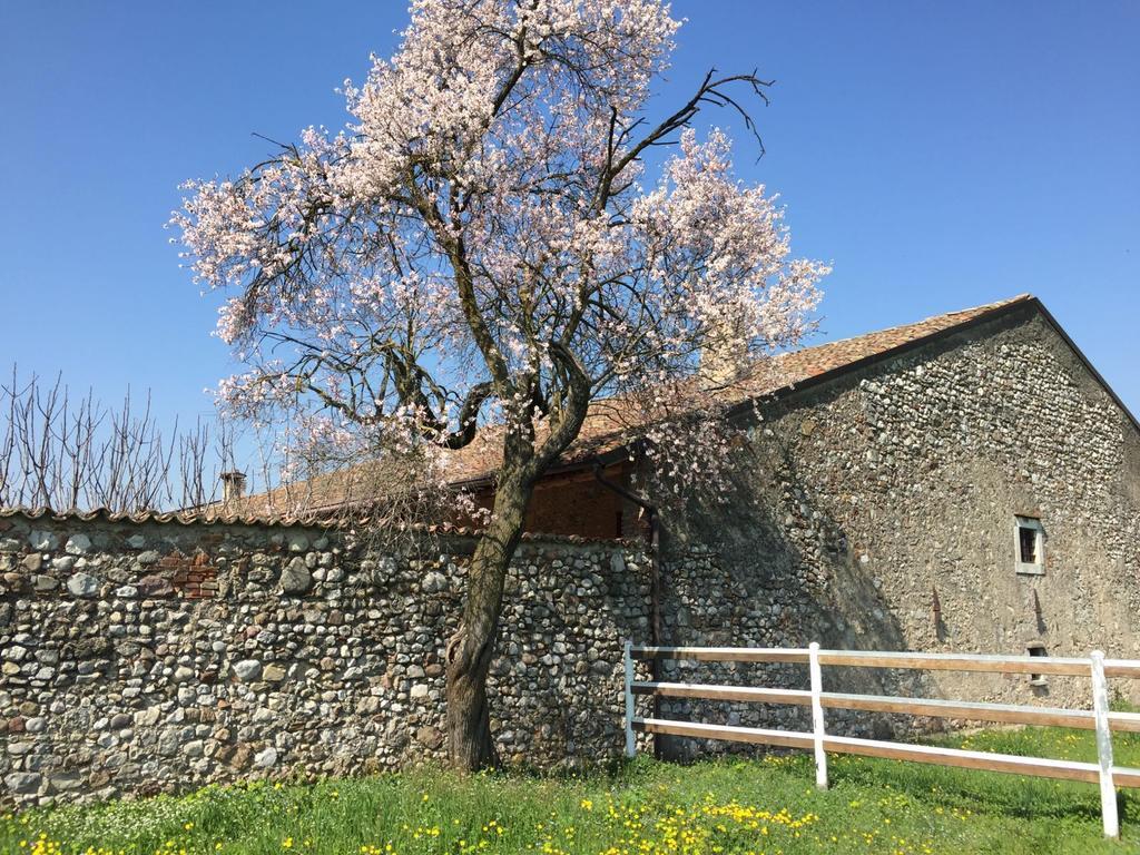 Antico Cascinale Lombardo Bed and Breakfast Lonato Exteriör bild